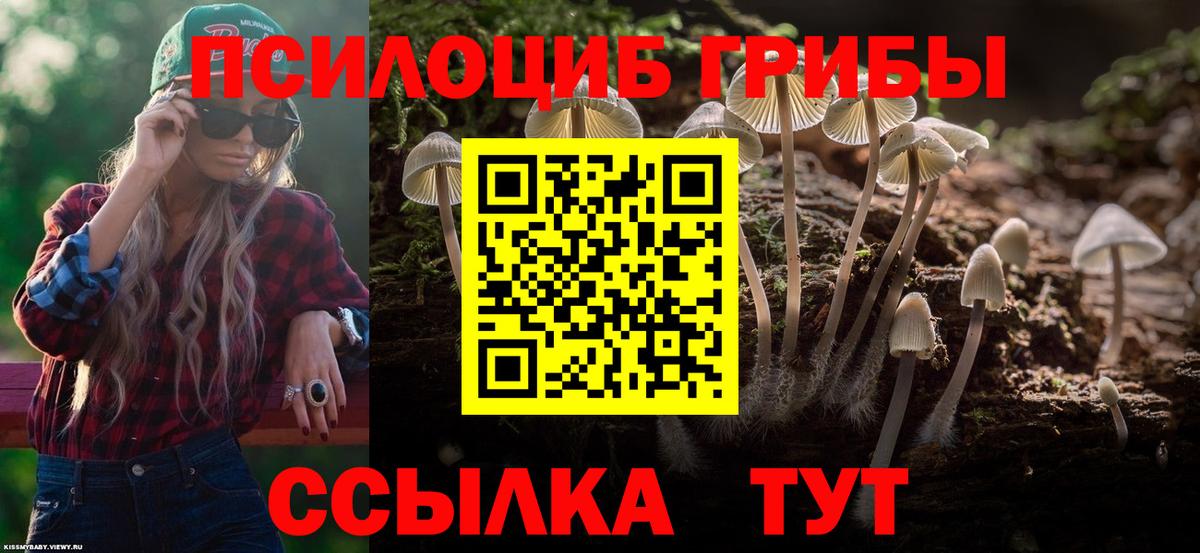 Галлюциногенные грибы прущие грибы  Вход с VPN  Горно-Алтайск 